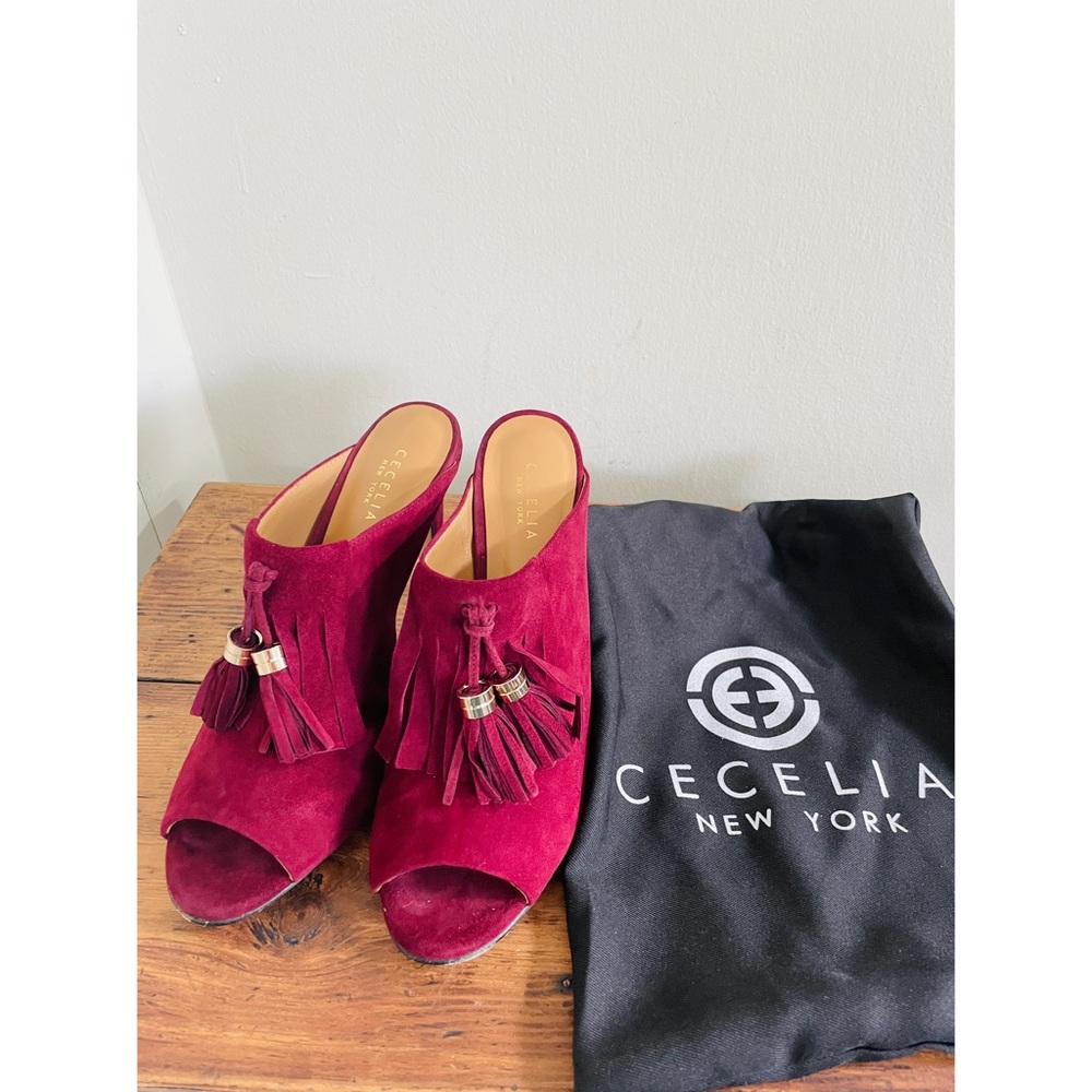 Cecelia Mary Red Suede Peep Toe Tassel Fringe Heels